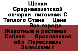Щенки Среднеазиатской овчарки (питомник С Теплого Стана) › Цена ­ 20 000 - Все города Животные и растения » Собаки   . Ярославская обл.,Переславль-Залесский г.